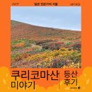 명성자동차정비 | 일본 쿠리코마 산 신의 단풍놀이 등산 후기
