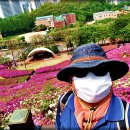 철쭉동산 이미지