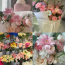 이마트24대전보건대점 | [대전 둔산동 꽃집] 고급스럽고 아름다운 감성 꽃집 ‘오월애플라워’ 내돈내산 후기