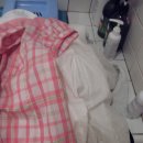 미셀세탁 이미지