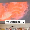 폼잡는개 이미지