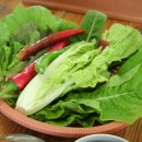 참솔식당 - 울주군 | 참솔식당
