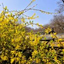 석가영산회상도 | 나라를 향한 염원으로 세워진 절... 영취산(靈鷲山) 흥국사(興國寺)