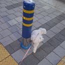 폴리파크 연산점 이미지