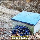 부용농장 이미지