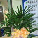 추신경외과의원 이미지