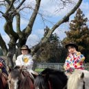 지효목장 이미지