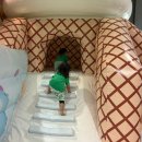 리틀포도나무어린이집 이미지