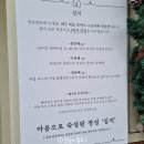 핑크브로콜리 | 대구 반월당 맛집 심지더하기 스프카레 안심카츠 후기