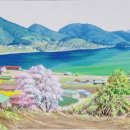 남해-154 이미지