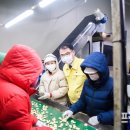 남일농산 프레시안