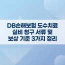 실비