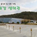 태화강 생태관