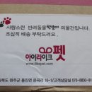 아이라이크펫 이미지