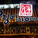 오징어이야기 이미지