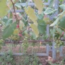 영락농장 이미지