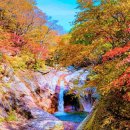 “이틀간 4만 명 몰렸다”… 단풍 절정 맞은 가을 산행 명소 이미지