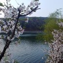 물댄동산 이미지