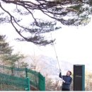 만지송 경북제일신문
