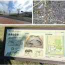 백제13月 | 일본으로 간 백제왕족_4 昆支 ③가와치(河内)에 정착