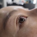 미우대구피우다뷰티 | 수성구속눈썹펌 유지력 좋은 속눈썹펌 미쓰미우 후기