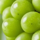 세곡농장 이미지