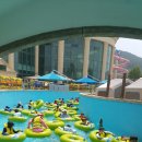 킹태권도장 이미지