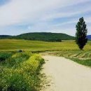 성문안 목장 이미지