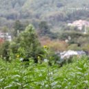 태광세차장 이미지