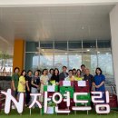 드림식품