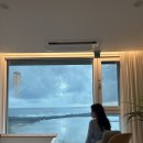 오션스퀘어 | 제주도 서귀포 감성숙소 추천 돌고래가 보이는 서쪽 오션뷰 펜션 스퀘어베이 후기