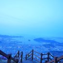 단디텍스