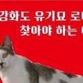 강화리빙스파랜드 이미지