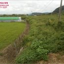 황정리 과수원 이미지