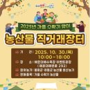 해운대이벤트광장 1 이미지