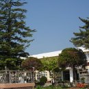 궁근정초 이미지