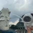 파리바게뜨거여우성어반 | 잘생긴남자보러훨훨날아간후기(싱가포르🛫🇸🇬)