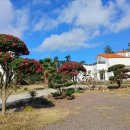 더큰나무펜션 이미지