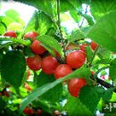 글사랑방 이미지