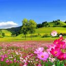 학교가는길 이미지