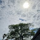 한원리경로당 이미지