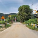 페트라숯불구이 이미지