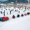 평창송어축제 2020 이미지