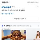 셀카인드 | 유럽여행 (6) 인터라켄 / 그린델발트