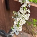 도봉문화정보도서관(종합자료실) 이미지