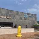 [아이랑] 파라다이스 스파 도고 :: 워터파크 다녀온 후기