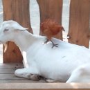 대굴령마을 이미지