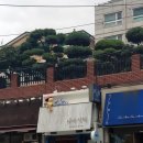 신혼맛집