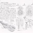 바이올린 (B) 이미지