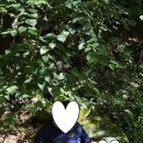메아리산장